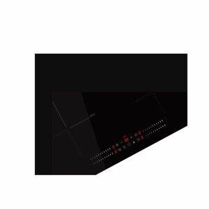 Plaque à Induction Fagor