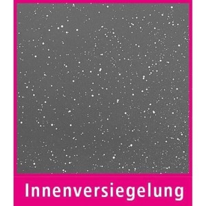 GSW Greblon induction cooker with potholders - 8.5 l