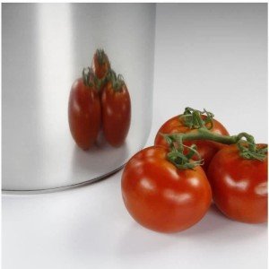 BAUMALU Stainless steel caterer + glass lid - 30 cm |  Marmites   |...
