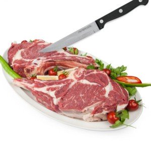 4er-Set Steakmesser - NIROSTA - 21 cm |  Couteau de cuisine   | Che...