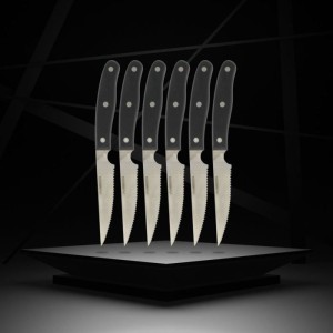 6er-Set Steakmesser - NIROSTA - 22 cm