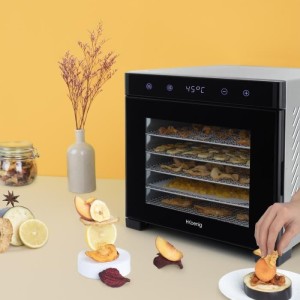 Dörrgerät – HKoeNIG – DSY900 – Timer – Variable Temperatur – Leistung 650 W
