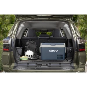 Elektrische Kühlbox - IGLOO - 240 V - Blau - 31 L