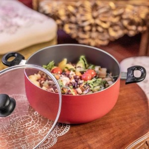 24 cm Dutch Oven - LIVOO - MEP150R - Antihaftbeschichtung ohne PFOA oder PFOS - Silikongriffe - Geeignet für alle Herdarten, ei