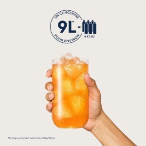 SODASTREAM Konzentrate – 6er-Pack zuckerfreie Zitruskonzentrate – Bis zu 54 l Getränke – 440 ml