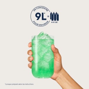 Concentrés SODASTREAM - Lot de 6 concentrés Menthe sans sucres - Jusqu'a 54L de boissons - 440 ml