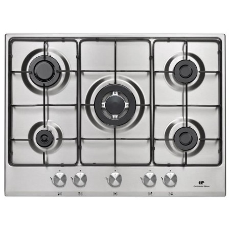 TABLE 5 FAYERS Continental Edison - Gas including 1 triple stainless steel crown