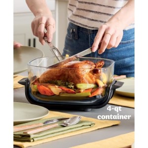 Tragbare ölfreie Fritteuse von NINJA – CRISPI – 1,4-l- und 3,8-l-Behälter – 4 voreingestellte Programme – 1700 W – B