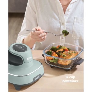 Tragbare ölfreie Fritteuse NINJA – CRISPI – 1,4-l- und 3,8-l-Behälter – 4 voreingestellte Programme – 1700 W – Salbe