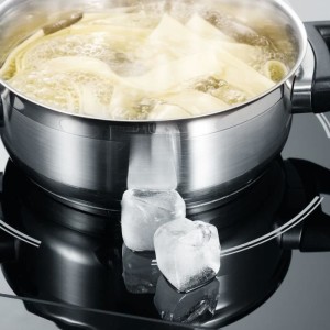 SEVERIN 1031 Induction Posable Cooktop - Black