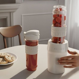 Mini-Standmixer – SWEISS – MOOV8 – 300 W – 570 ml – 2 Flaschen – Beige