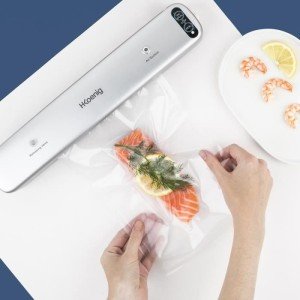Food vacuum sealer - HKoeNIG - SSV32 - Food preservation - Gray |  ...