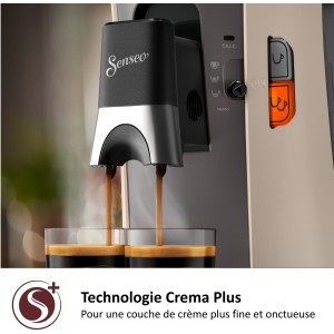 CSA240 / 31 Select Nougat