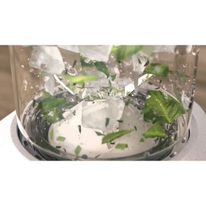 Blender - PHILIPS - HR2500/00 Pro Blend - 350 W - 0.6 L - White