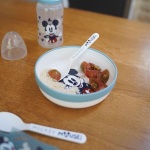Mickey-Sammler-Antirutschschale