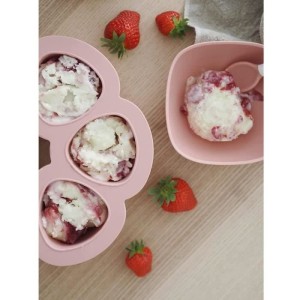 BEABA Multiportions silicone 6x90 ml pink