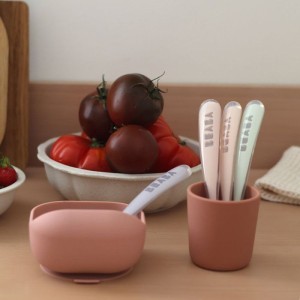 BEABA Set mit 4 Silikonlöffeln 1. Alters (windiges Blau + Eukalyptusgrün + heller Nebel + altes Rosa)