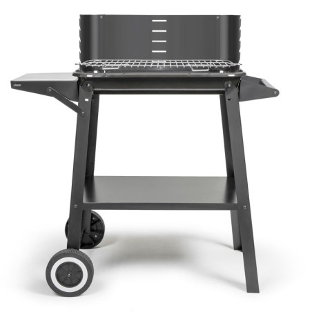 Holzkohlegrill - LIVOO - DOC328 - Edelstahl