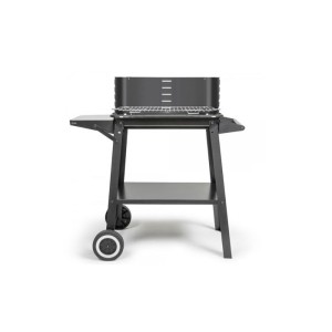 Barbecue a charbon - LIVOO - DOC328 - Inox - Surface de cuisson 48,5 x 28,8 cm - Hauteur réglable 70-84 cm