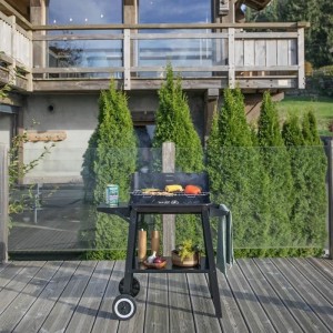 Holzkohlegrill - LIVOO - DOC328 - Edelstahl