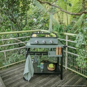 Bügelwagen - LIVOO - GS167V - Grün / Schwarz