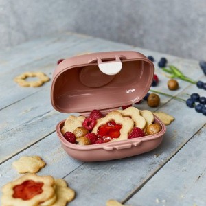 Lunchbox – MONBENTO – Luftdichte Snackbox – MB Gram Fox