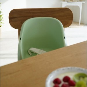 Thermobaby Tudi Stuhl Booster - 6 bis 36 Monate - 3 -Point -Sicherheitsgurt - Céladon Green