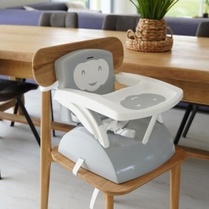 Thermobaby Booster Keller