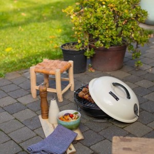 Portable charcoal barbecue - LIVOO - DOC301 - Champagne and black