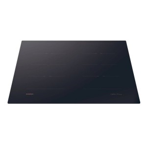 |  Table de cuisson induction - plaque de cuisson induction   | Che...