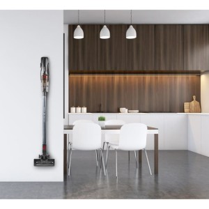 DOMO DO1032SV - 2 in 1 - 18,5 V Broom -Staubsauger - Li -ION -Batterie - Cyclonic -System - Rotationsbürste