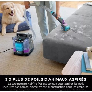 SHARK PX250EUT StainStriker HairPro Fleckenentferner für Haustiere – Teppiche, Läufer, Möbel, Treppen, Autos – 450 W –