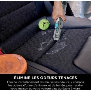 SHARK PX250EUT StainStriker HairPro Fleckenentferner für Haustiere – Teppiche, Läufer, Möbel, Treppen, Autos – 450 W –