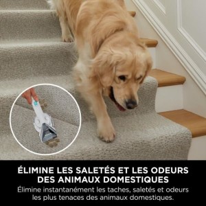 SHARK StainStriker PX200EUT Fleckenentferner – Entfernt, reinigt und saugt – Aktionsradius 5,7 Meter – kompakt und tragbar