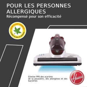 HOOVER MBC500 Special Hand Vacuum - 500W - 300 ml - Burgundy White