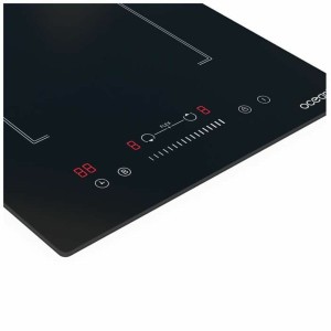 Induktionskochfeld Oceanic OCEATI2Z2BF 18 cm 3600 W |  Kochplatten ...