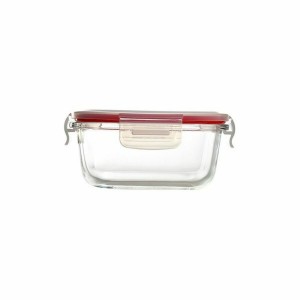 Lunchbox-Set Bergner Walking Anywhere Borosilikatglas cuadradas kar...