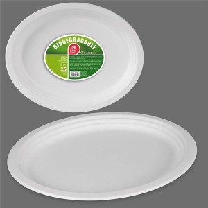 Geschirr-Set Best Products Green Zuckerrohr ø 32 cm Biologisch abba...