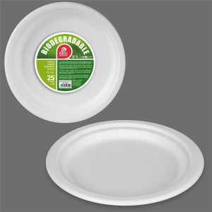 Geschirr-Set Best Products Green Zuckerrohr Ø 25 cm Biologisch abba...