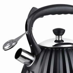 Wasserkocher Promis TMC25 Schwarz Stahl 3 L |  Wasserkocher   | Che...