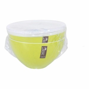 Salatschüssel Kitchen Tropic  grün mit Deckel 2 Stücke (8 Stück) | ...