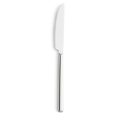 Ensemble de couteaux à dessert Amefa Metropole Métal 20,5 cm (12 Un...
