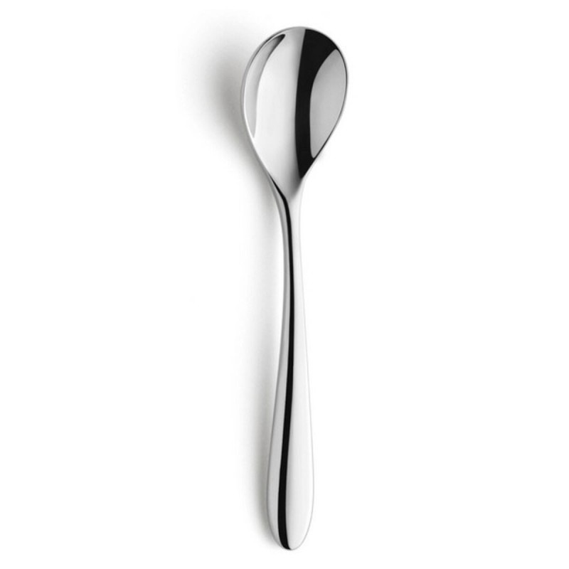 Löffel-Set Amefa Cuba 11,3 cm Metall 12 Stück |  Messer und Schleif...