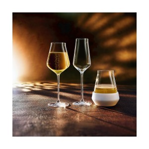 Champagne glass Chef & Sommelier Transparent Glass (21 cl) |  Glass...