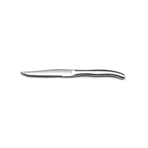 Ensemble de couteaux à viande Amefa Virgule Argenté Métal 23,5 x 1,...