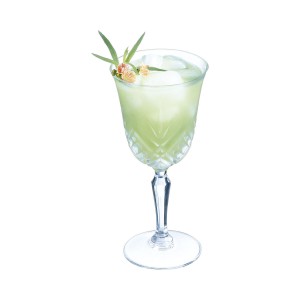 Cocktail-Glas Arcoroc Broadway Durchsichtig Glas 250 ml 6 Stück |  ...