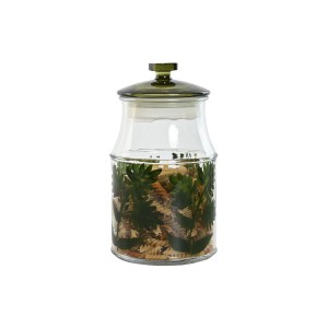 3 Tubs Home ESPRIT Green Crystal 1,2 L 3 Pieces |  Lunch boxes, foo...