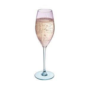Coupe de champagne Cristal d’Arques Paris Swirly Spring Rose verre ...
