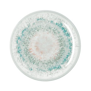 Assiette plate Bidasoa Kai Hydrozero Blanc Céramique Ø 27 cm (6 Uni...