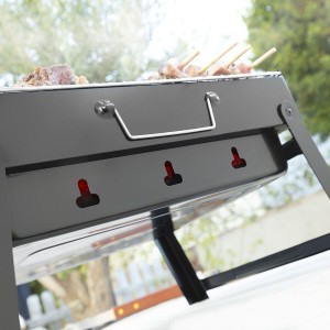 Folding Portable Barbecue for use with Charcoal BearBQ InnovaGoods ...
